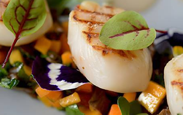 Carré Sud - Restaurant Montrond-les-bains - bien manger MONTROND-LES-BAINS